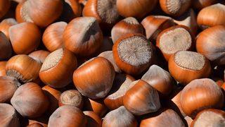 Kavrulmamış fındık tüketin önerisi