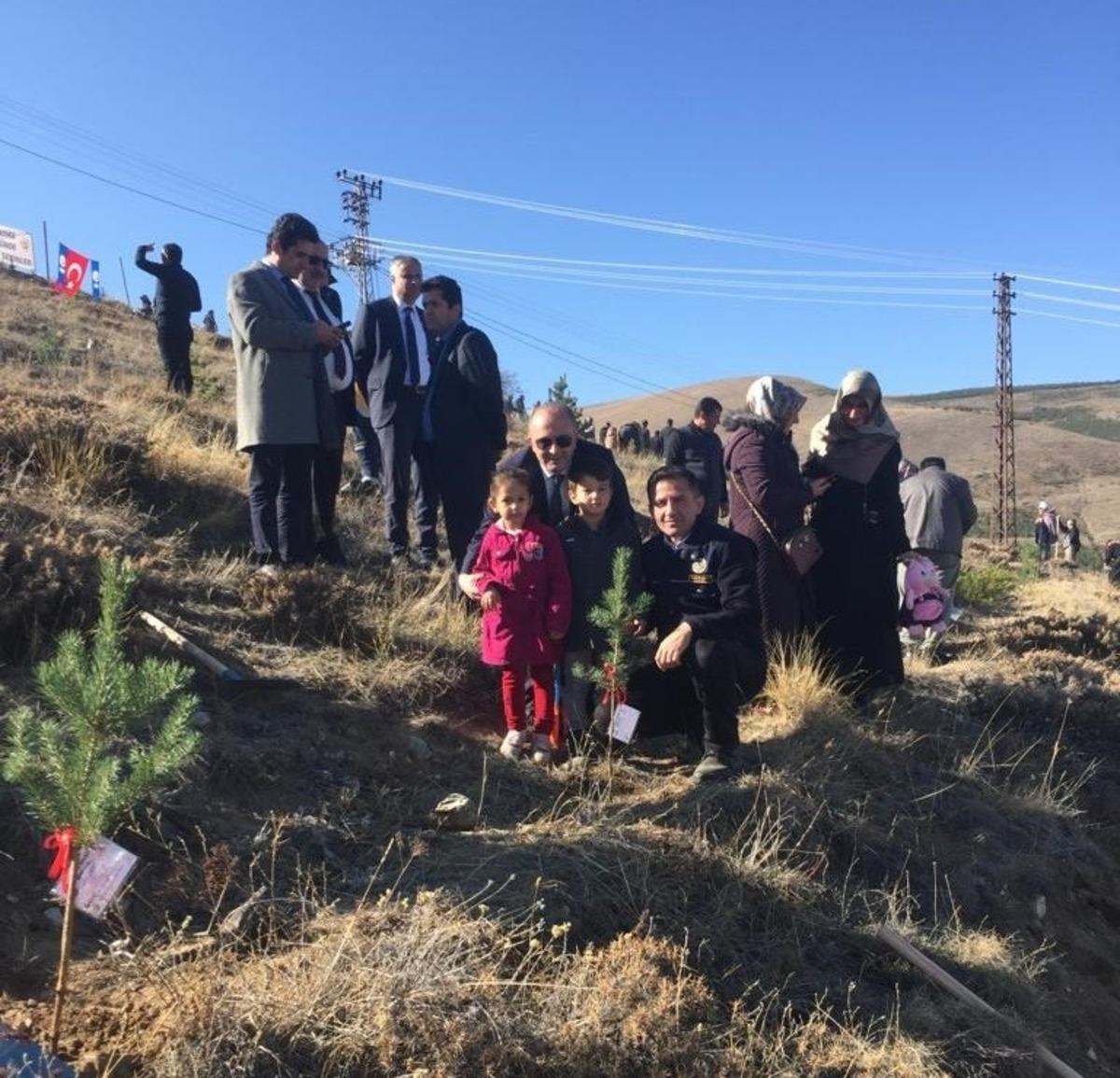 Bayburt&rsquo;ta yıl i&ccedil;inde doğan her bebek i&ccedil;in bir fidan dikildi