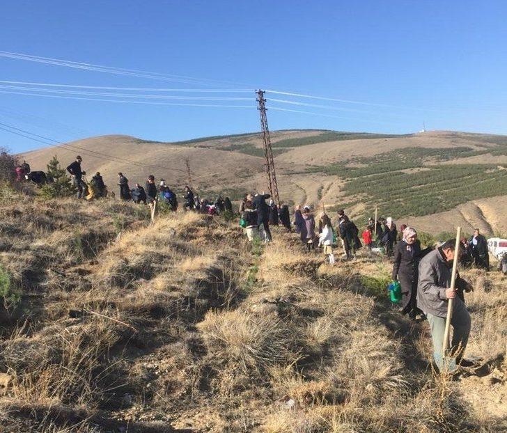 Bayburt’ta yıl içinde doğan her bebek için bir fidan dikildi G2