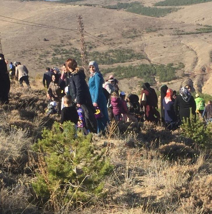 Bayburt’ta yıl içinde doğan her bebek için bir fidan dikildi G3