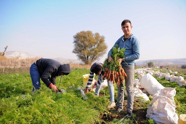 (Özel) Tarladan pazara havucun hikayesi G1