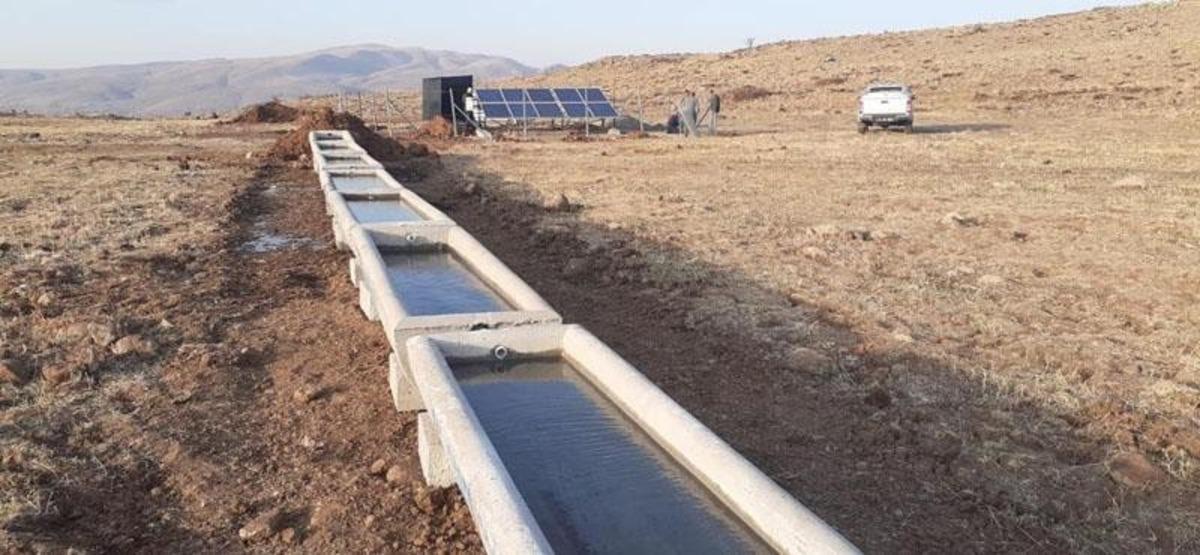 Bing&ouml;l&rsquo;de 100 bin hayvan i&ccedil;in g&ouml;letler yapıldı