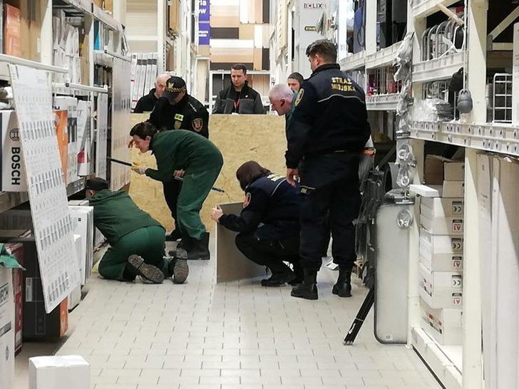 Polonya’da hasta tilki, alışveriş merkezine girdi G2