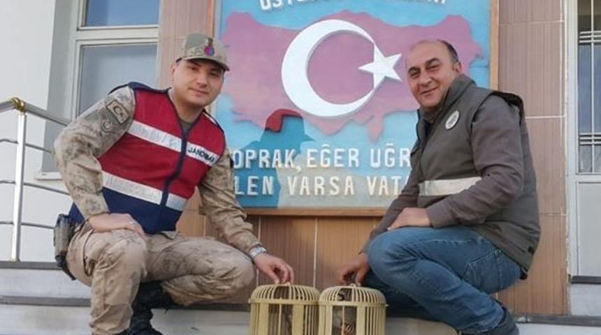 Gevaş&rsquo;ta keklik avcısına ceza