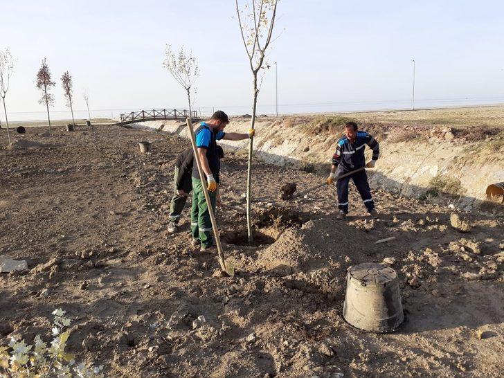 Cebeci Sahili daha konforlu olacak G3