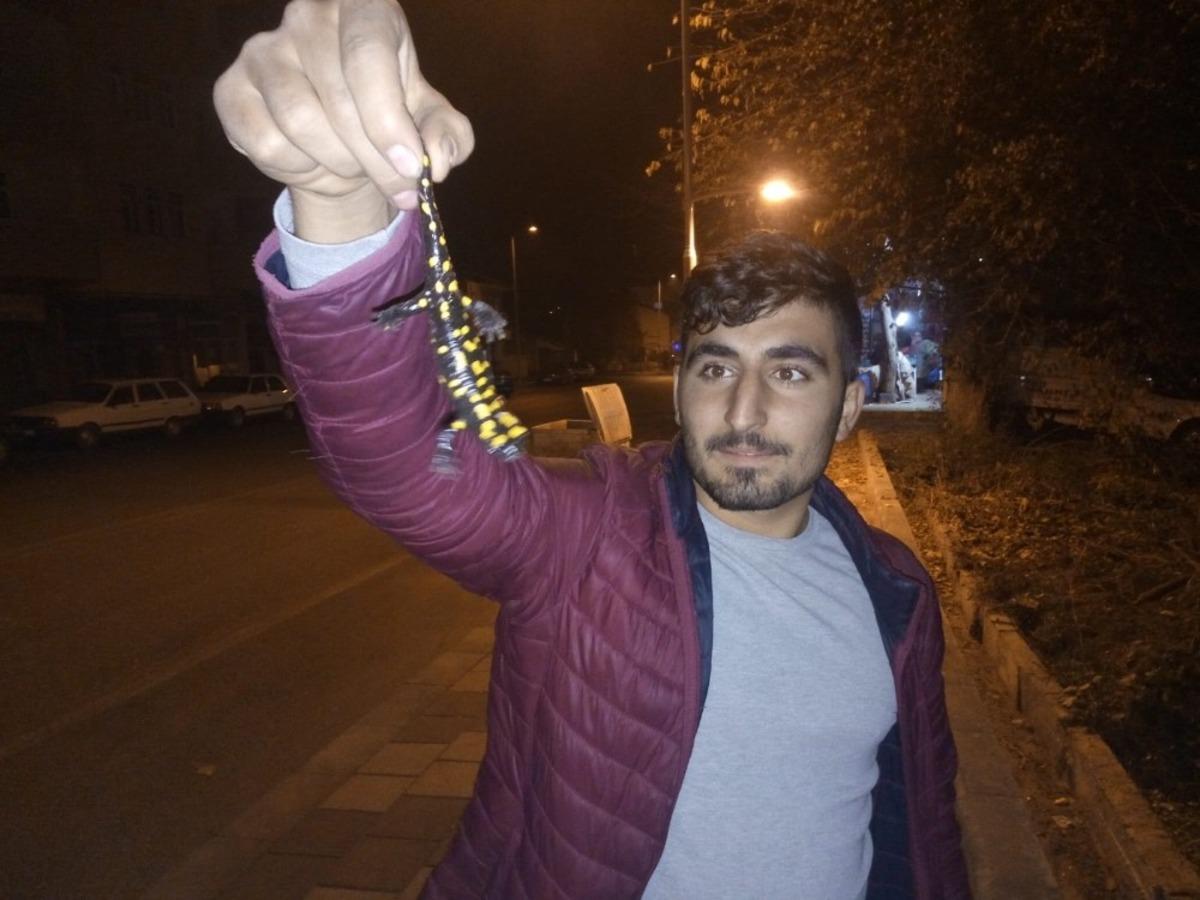 Malatya'da evinin &ouml;n&uuml;nde semender g&ouml;rd&uuml;, hemen telefona sarıldı