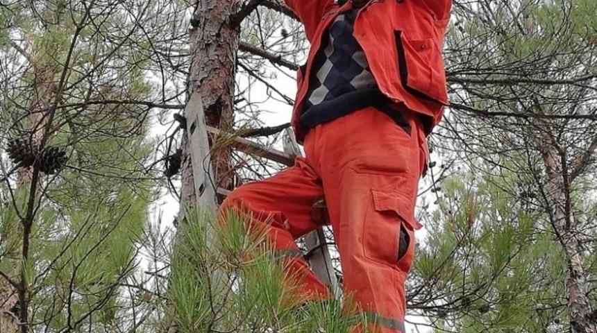 Mersin&rsquo;de ağa&ccedil;lara 4 bin adet kuş yuvası asıldı