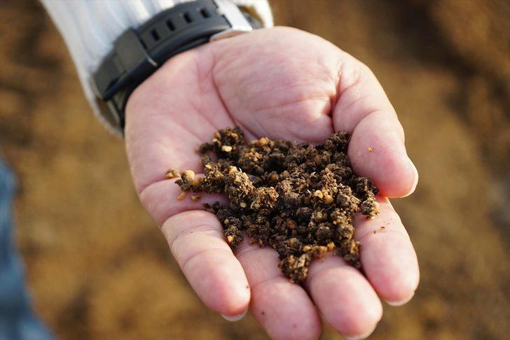 Zeytin çekirdeğinden üretilen çevreci yakıta talep artıyor G5