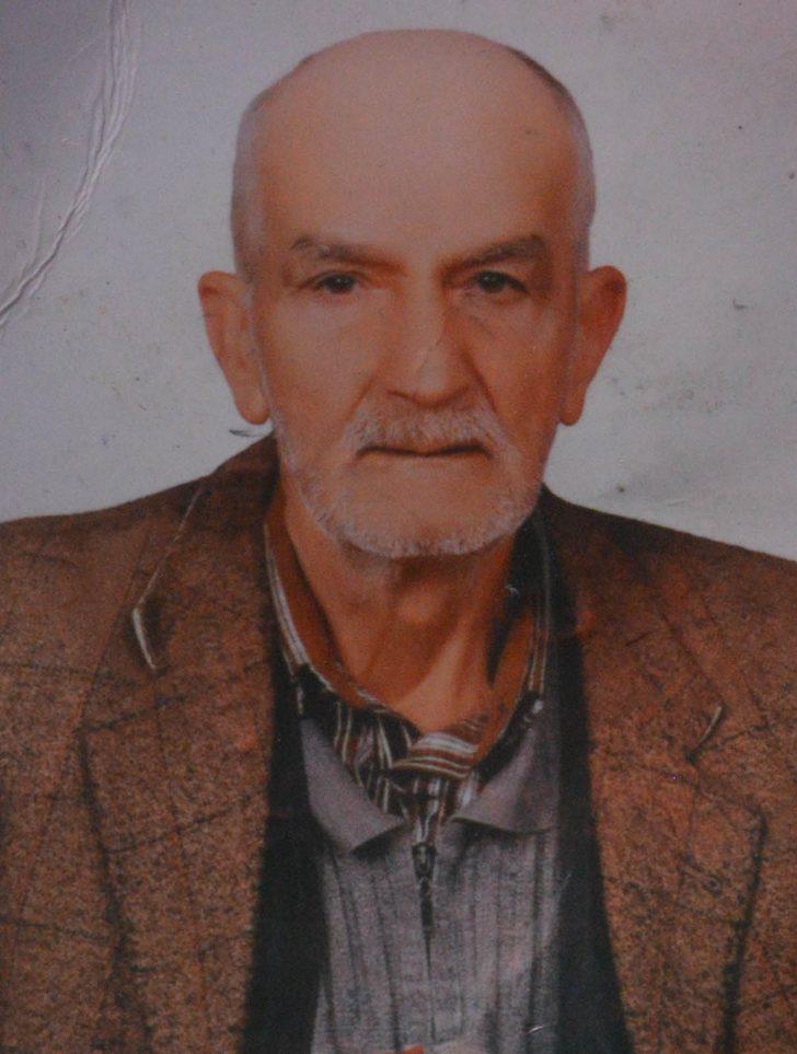 İş yerinin ortasında incir ağacı! Gören gözlerine inanamadı G2