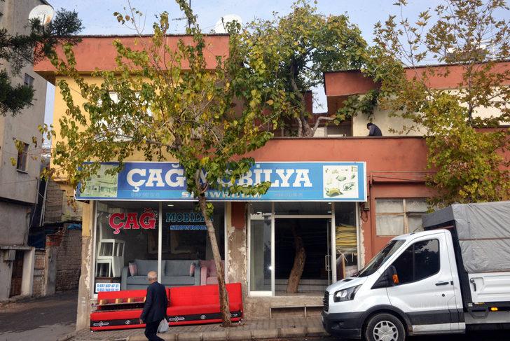 İş yerinin ortasında incir ağacı! Gören gözlerine inanamadı G5