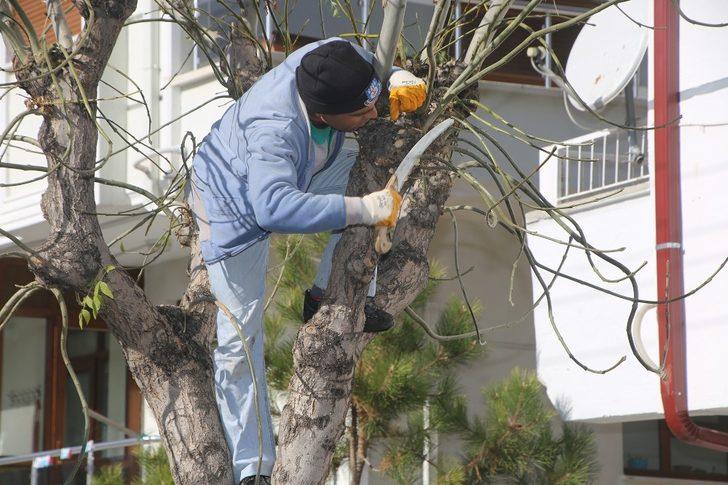 Başkan Kalaycı: “Karaman’ı yeşillendirme çalışmalarına büyük önem veriyoruz” G2