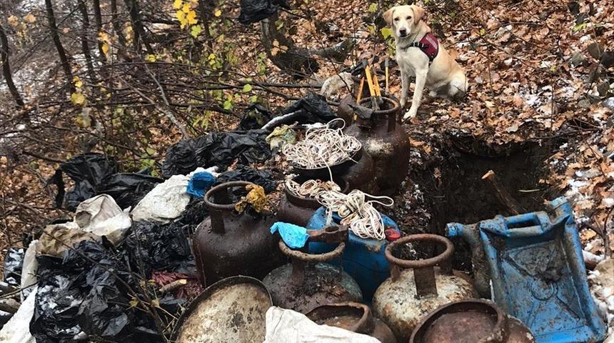 Bitlis'te ter&ouml;r operasyonu