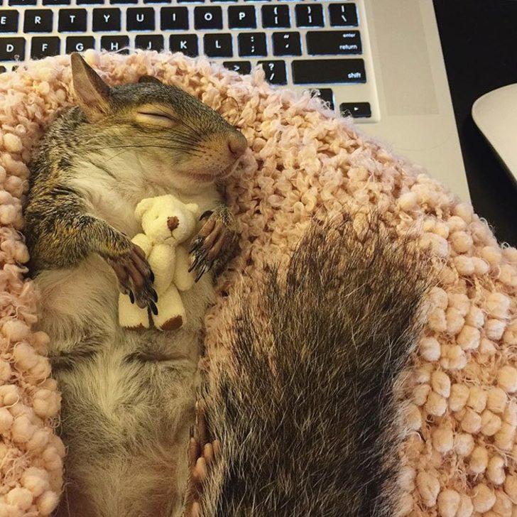 Afetten kurtarıldı! Oyuncak ayısına sarılmadan uyumuyor G4