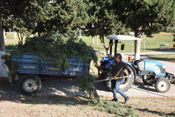 Toroslar’daki parklarda ağaçlar budandı G2