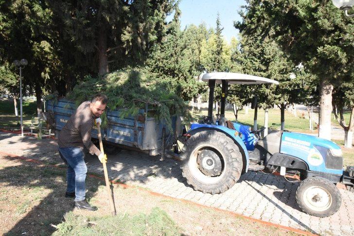 Toroslar’daki parklarda ağaçlar budandı G3