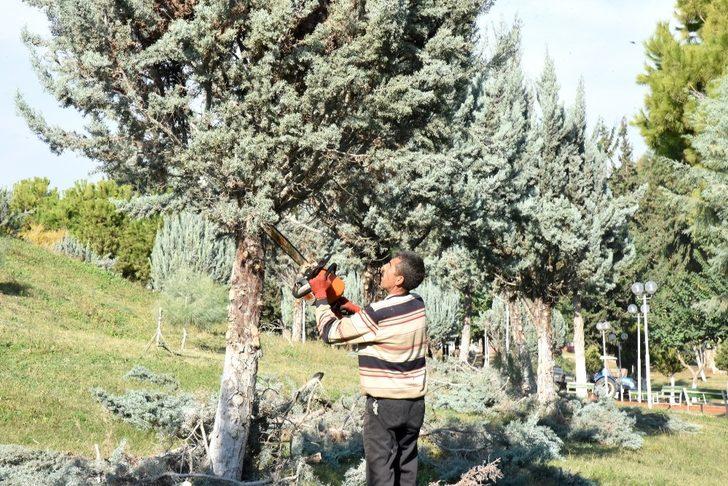 Toroslar’daki parklarda ağaçlar budandı G4