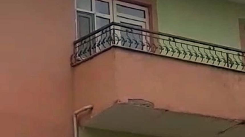 Mahsur kalan kediyi itfaiye kurtardı