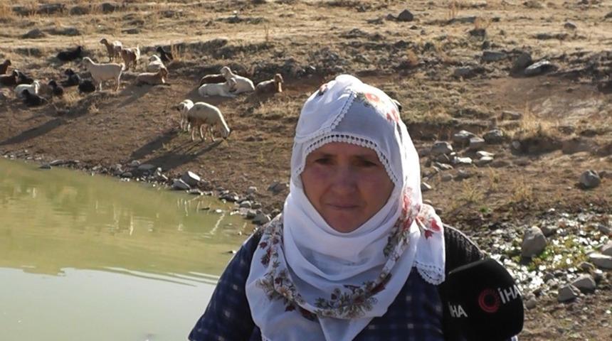 Köylüler, Ayvazhacı’daki gölde hobi amaçlı balık besliyor