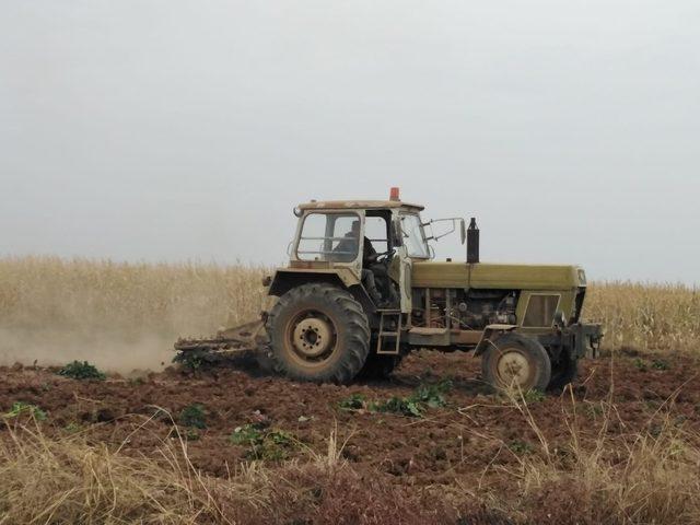 Tel Abyad’da buğday hasadı başladı