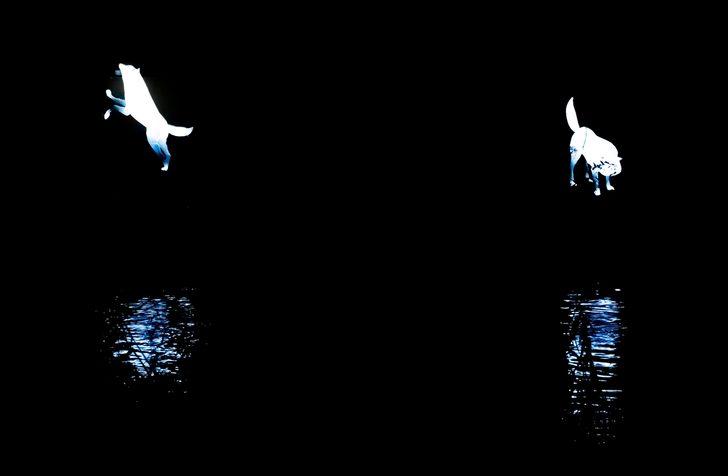 Amsterdam'da ışık sanat festivali G2