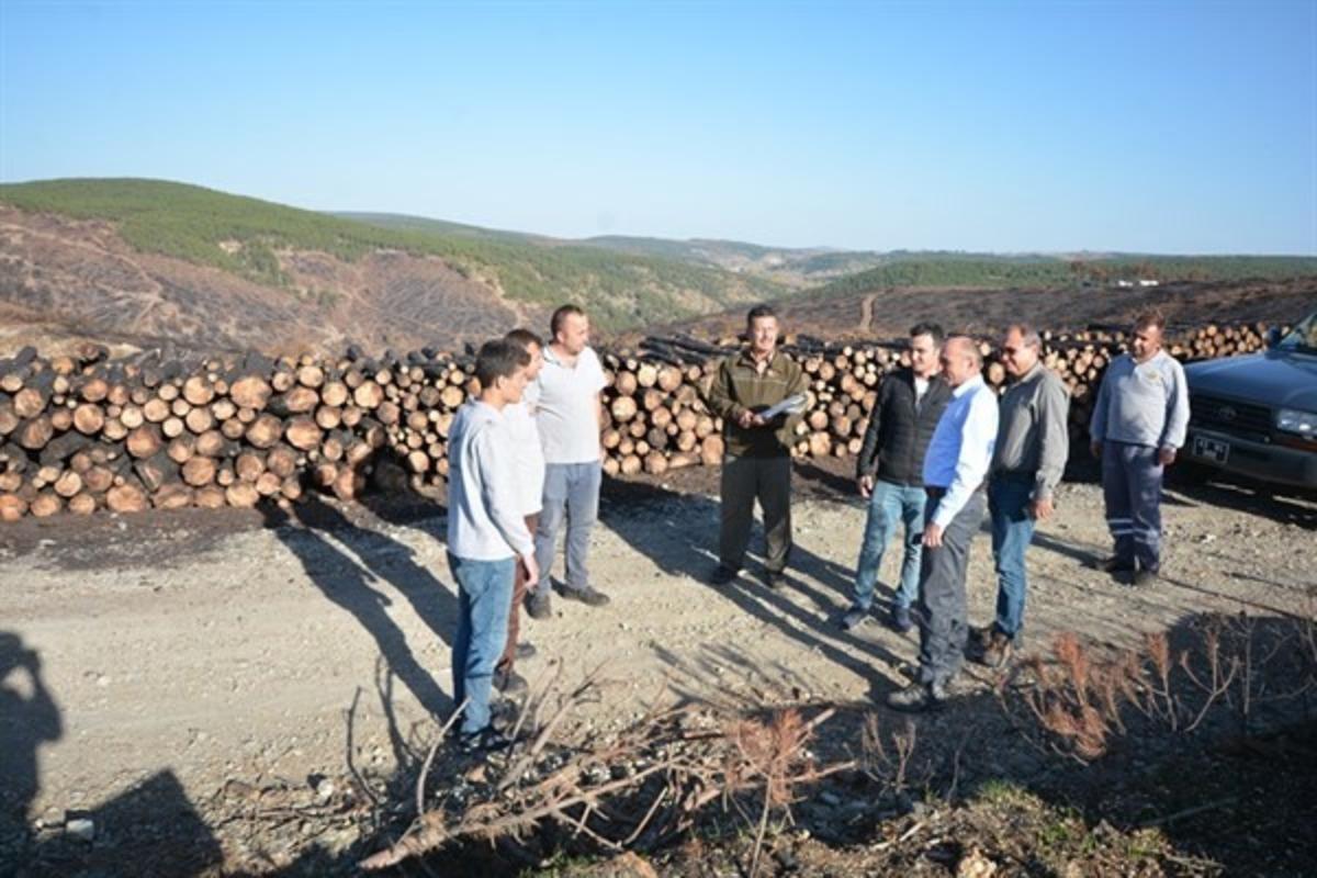 B&ouml;lge M&uuml;d&uuml;r&uuml; Keskin: Yanan alanda 300 bin kara&ccedil;am fidanı toprakla buluşturulacak