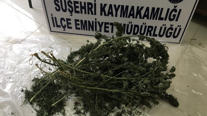 Susehri&rsquo;nde uyuşturucu operasyonları