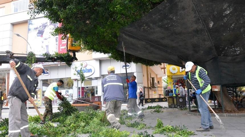 Tarsus yarenlik alanda bakım &ccedil;alışması yapıldı