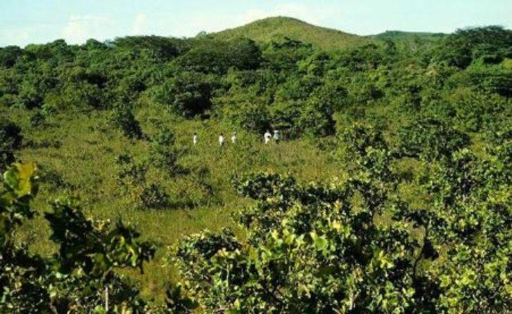 12 bin ton portakal kabuğu döktüler ortaya çıkan sonuca inanamadılar! G5