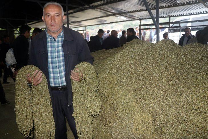 Çiçek bamyası dalında 15 lira, ipe dizilince altın kadar değerli G4