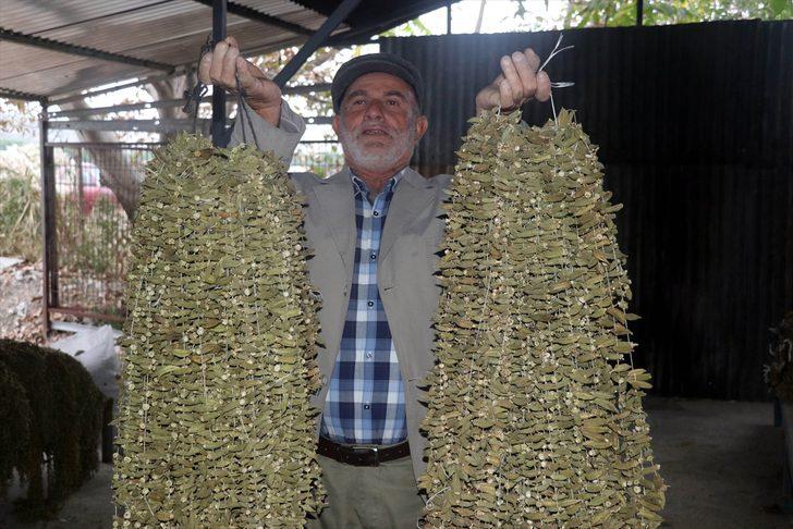 Çiçek bamyası dalında 15 lira, ipe dizilince altın kadar değerli G5