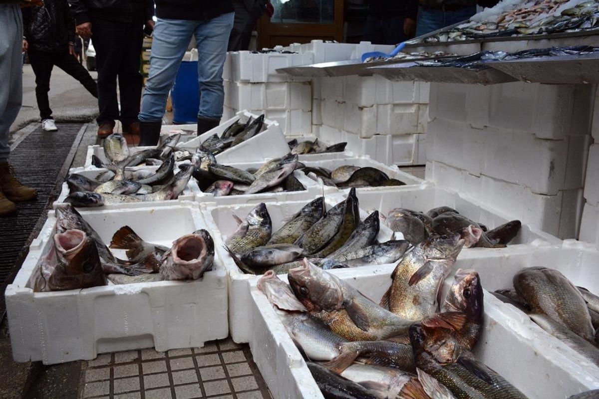 Sinop&rsquo;ta balık tezgahları şenlendi