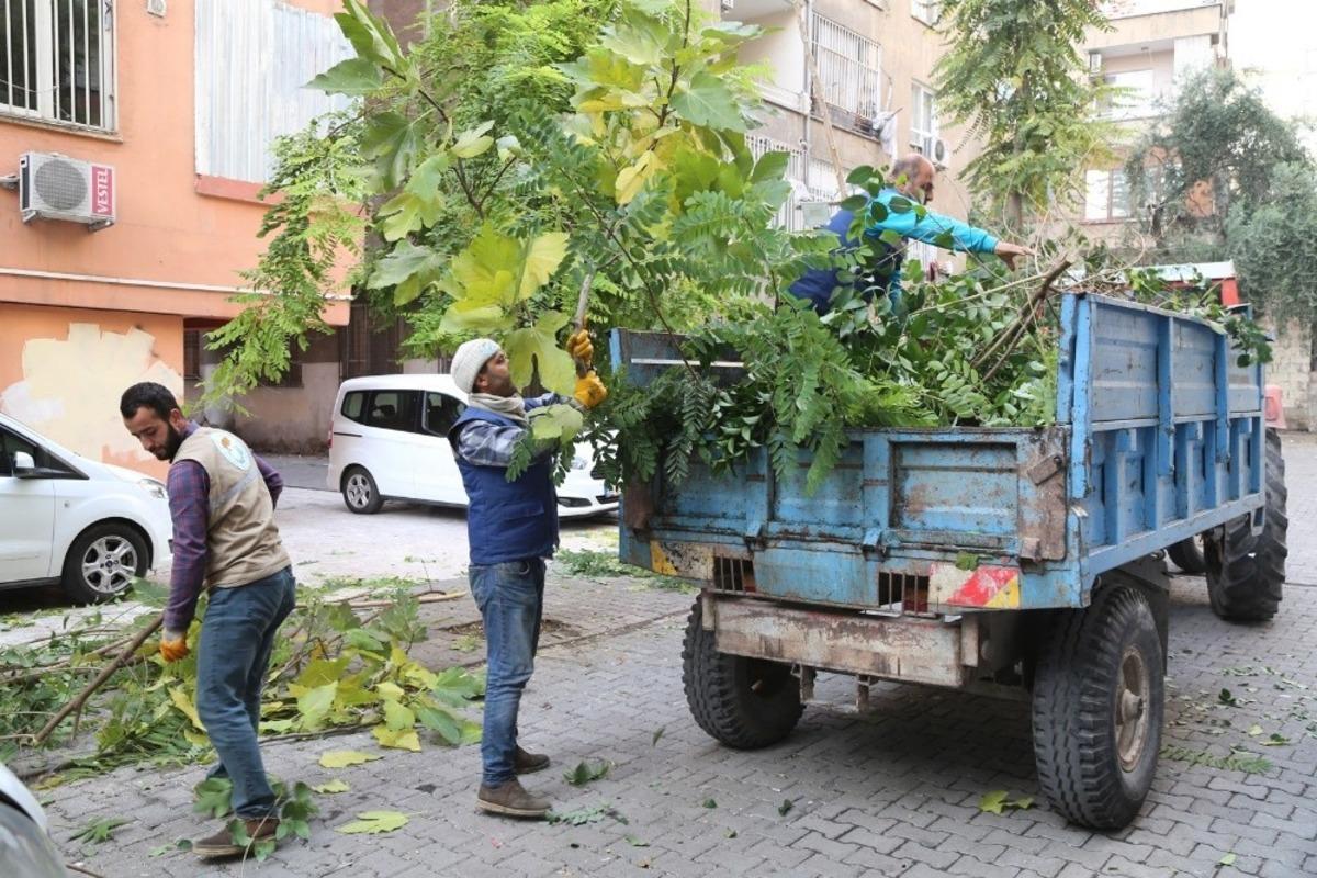 Daha yeşil bir Haliliye i&ccedil;in &ccedil;alışmalar s&uuml;r&uuml;yor