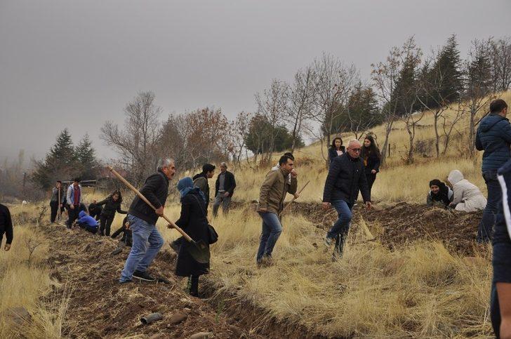 Arguvan’da fidan dikimi devam ediyor G1