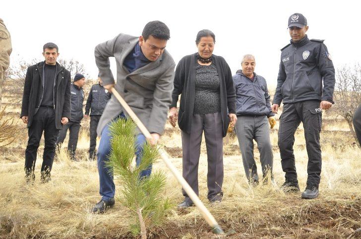 Arguvan’da fidan dikimi devam ediyor G3