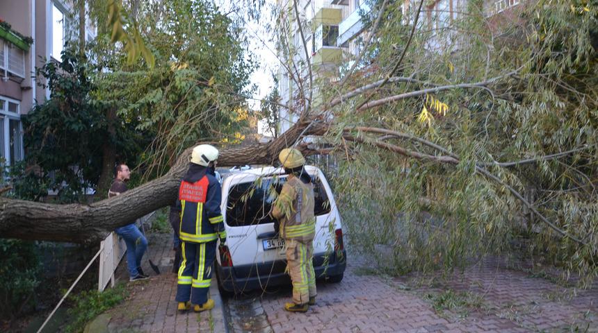 Avcılar'da otomobilin üstüne ağaç devrildi