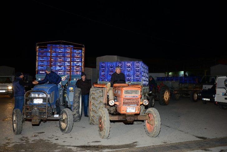 Kumluca’da yeni hal sezonu açıldı G2