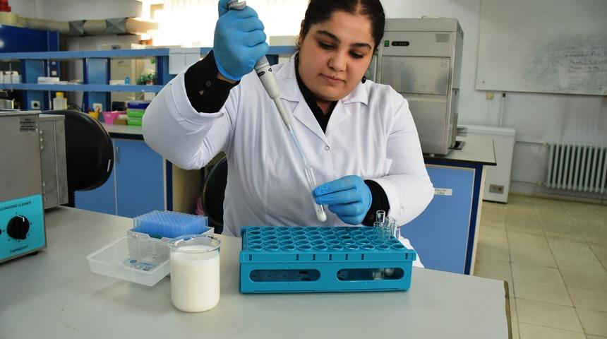 Kayısı çekirdeği sütü Malatya'da üretildi!