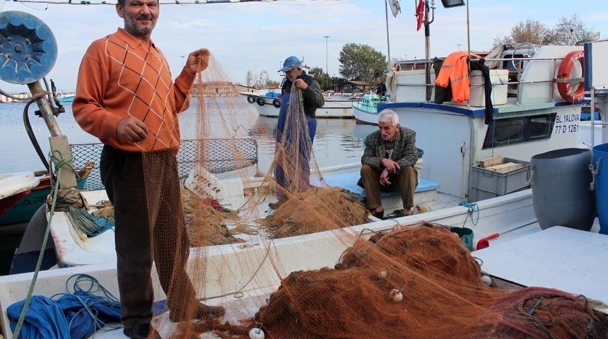 Yalovalı balık&ccedil;ılar: "Yunuslar balık&ccedil;ılığı bitirecek"