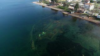 Su çekilmesi İznik Gölü'ndeki bazilikayı görünür hale getirdi