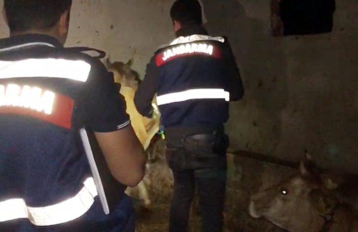 Ordu'daki seri katil dehşetinde flaş gelişme! Kurbanların fotoğrafları telefonundan çıktı G2