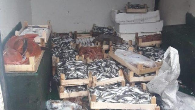 Kaçak trol avcılığına ceza yağdı