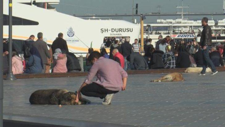 Bu fotoğraflar bugün çekildi! Erzurum'da kar, İstanbul'da deniz keyfi G5