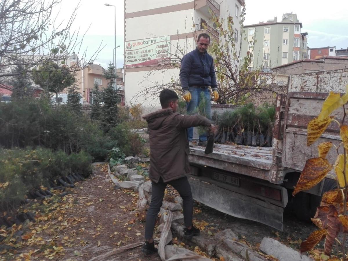 Develi &Uuml;lk&uuml; Ocakları 2 Yılda 125 Bin Fidan Dikti