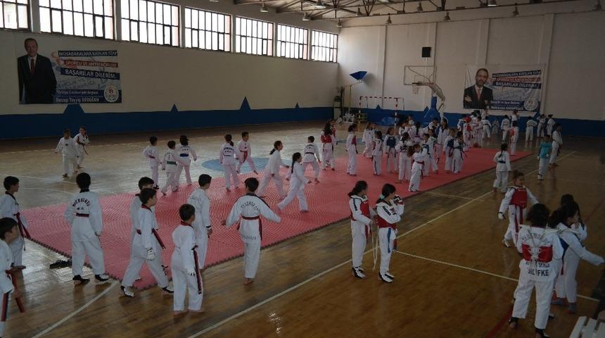 Silifke&rsquo;de &rsquo;Minikler Taekwondo Turnuvası&rsquo; d&uuml;zenlendi