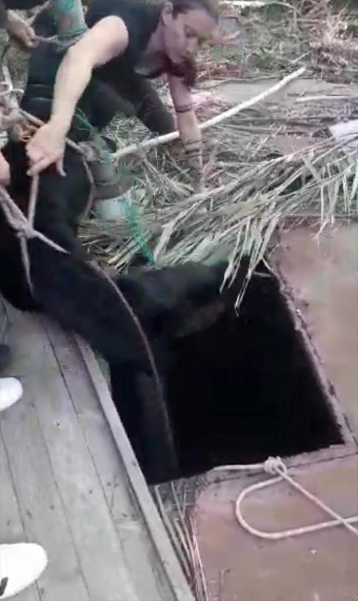 Kuyuya düşen köpeğini kurtarmak isterken mahsur kaldı G1