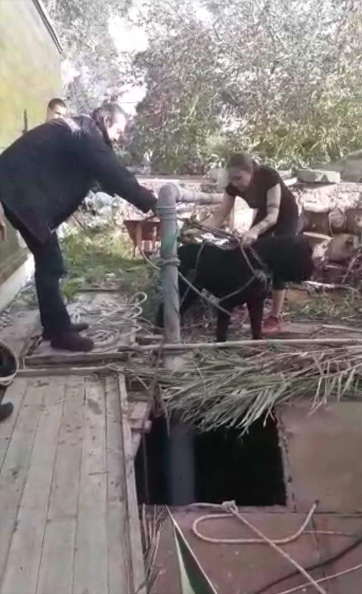 Kuyuya düşen köpeğini kurtarmak isterken mahsur kaldı G2
