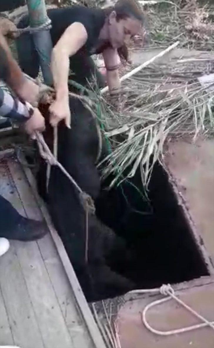 Kuyuya düşen köpeğini kurtarmak isterken mahsur kaldı G3