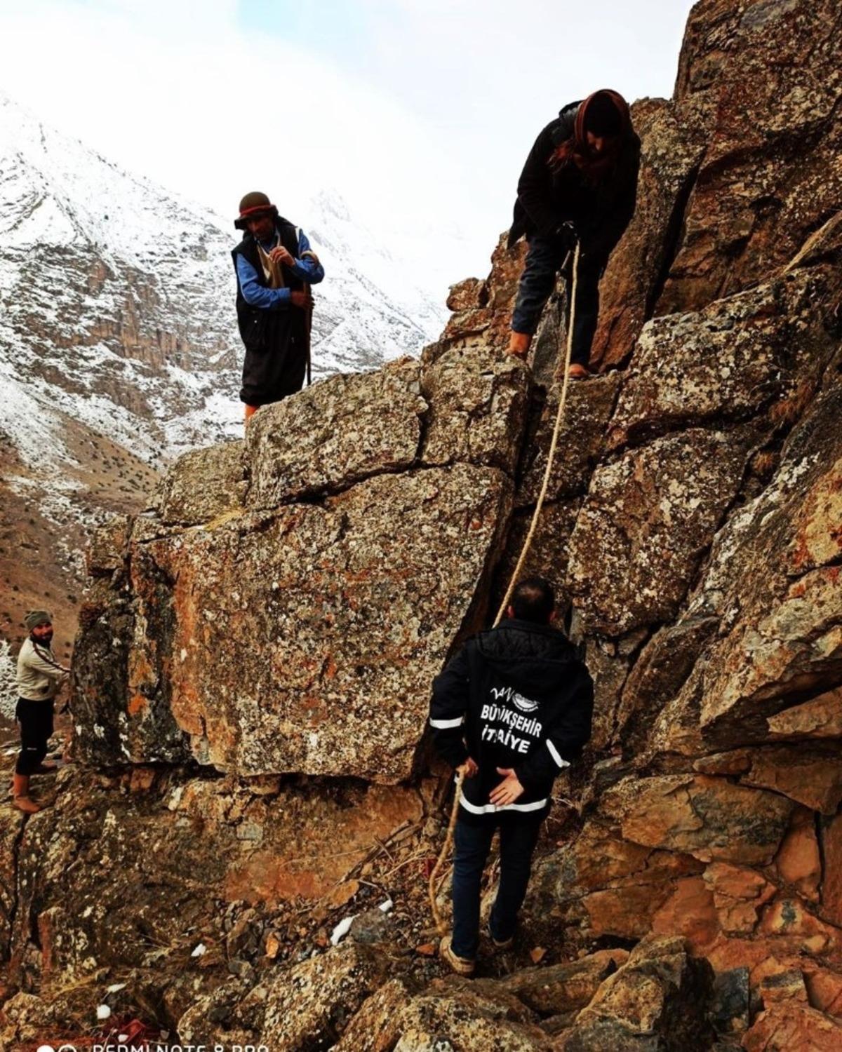 Sarp kayalıklarda mahsur kalan 2 &ccedil;oban ve 6 koyun kurtarıldı