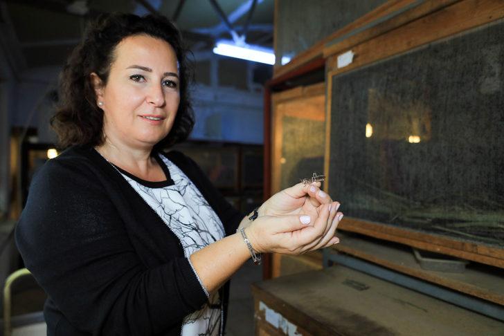 Canlı yem bulmakta zorlanıyordu! Şimdi tüm Türkiye'ye gönderiyor G2