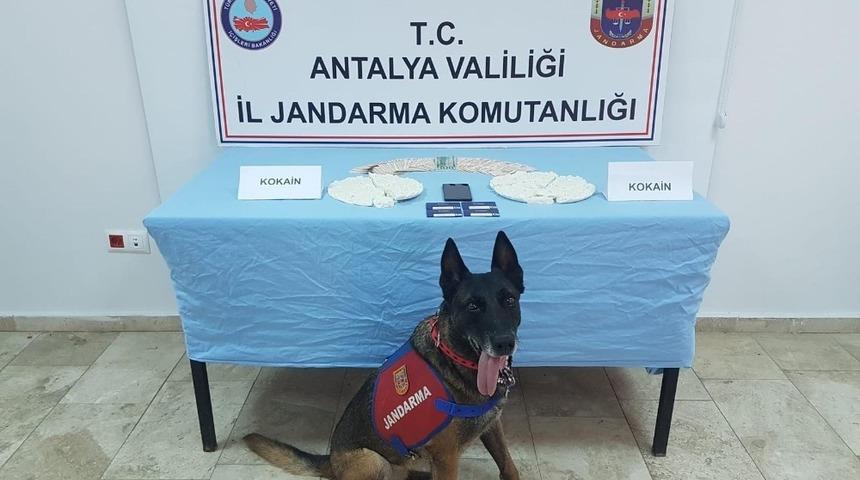 Laptop çantasında 1 milyon 250 bin liralık kokain ele geçirildi
